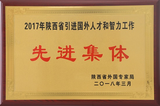 2017年陜西省引進(jìn)國外人才和智力工作先進(jìn)集體.JPG